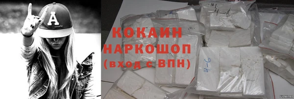 дмт Дмитриев