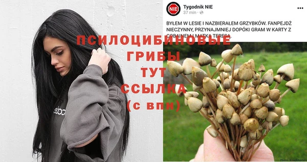 СК Дмитровск
