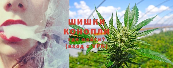дмт Дмитриев
