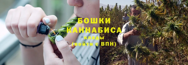 первитин Гусиноозёрск