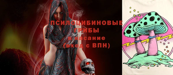 первитин Гусь-Хрустальный